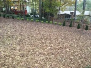 Reliable lawn mowing service near you across Marietta, GA - Chattahoochee Home & Garden