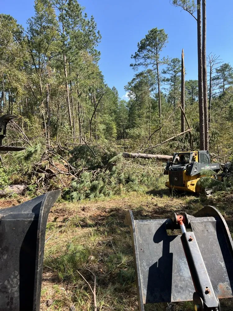 Trusted lawn care service in Red Bank, TN - Chattanooga Earthworks