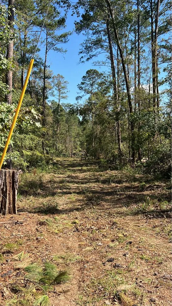 Reliable outdoor landscaping for residential properties in Red Bank, TN by Chattanooga Earthworks