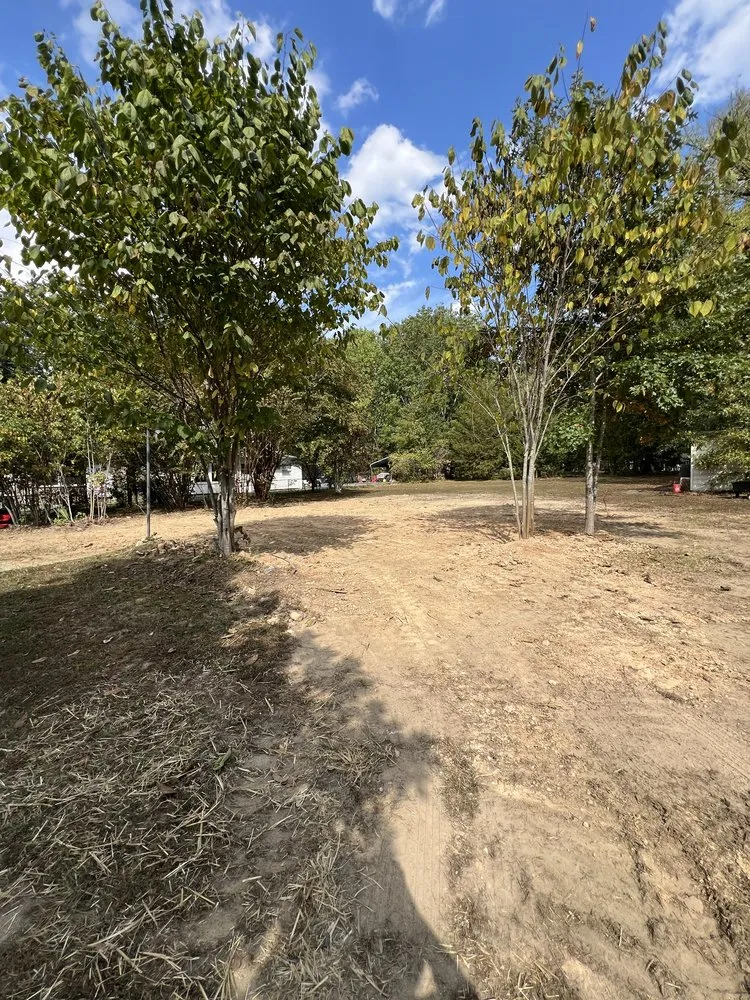 Top-rated landscape design with custom design across Red Bank, TN - Chattanooga Earthworks