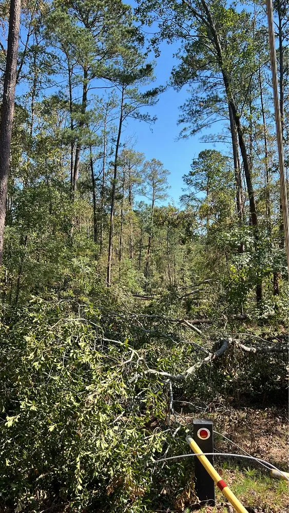 Reliable lawn mowing service in Red Bank, TN by Chattanooga Earthworks