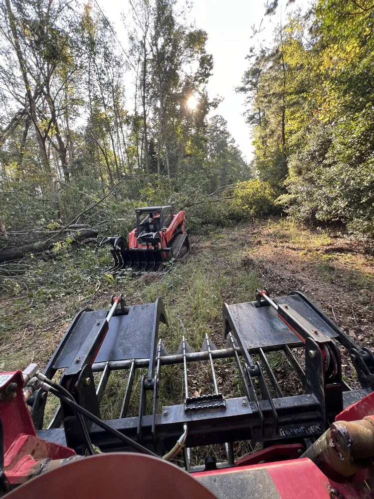 Top-rated landscape design experts serving Red Bank, TN - Chattanooga Earthworks