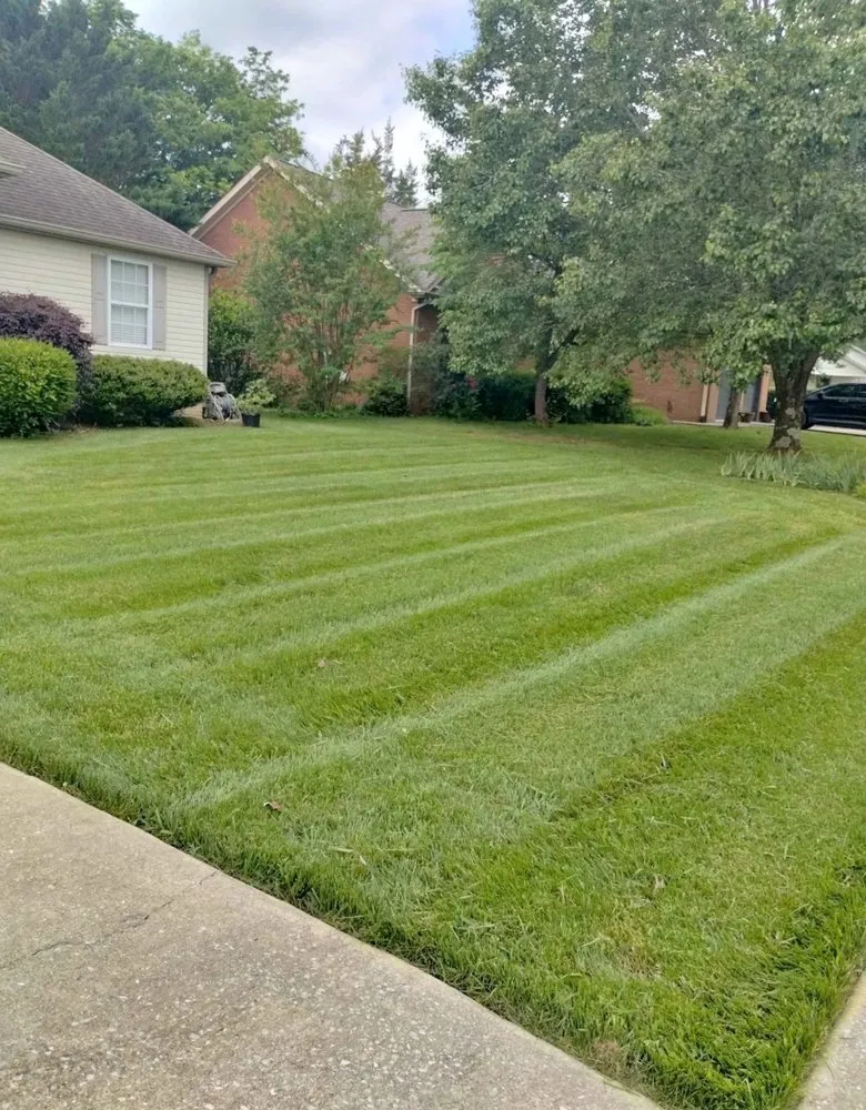 Custom landscape design in McDonald, TN by Chattanooga Lawn Legends