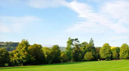 Expert outdoor landscaping experts serving Orange, NJ - Chauca & Son Landscaping & Construction