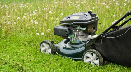 Top-rated garden landscaping for year-round maintenance in Orange, NJ by Chauca & Son Landscaping & Construction