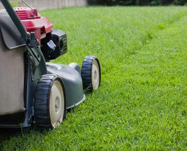 Top-rated landscape design in Orange, NJ by Chauca & Son Landscaping & Construction