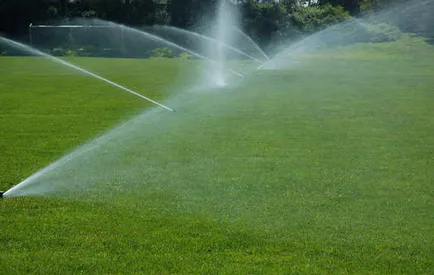 Affordable residential landscaping in Orange, NJ by Chauca & Son Landscaping & Construction