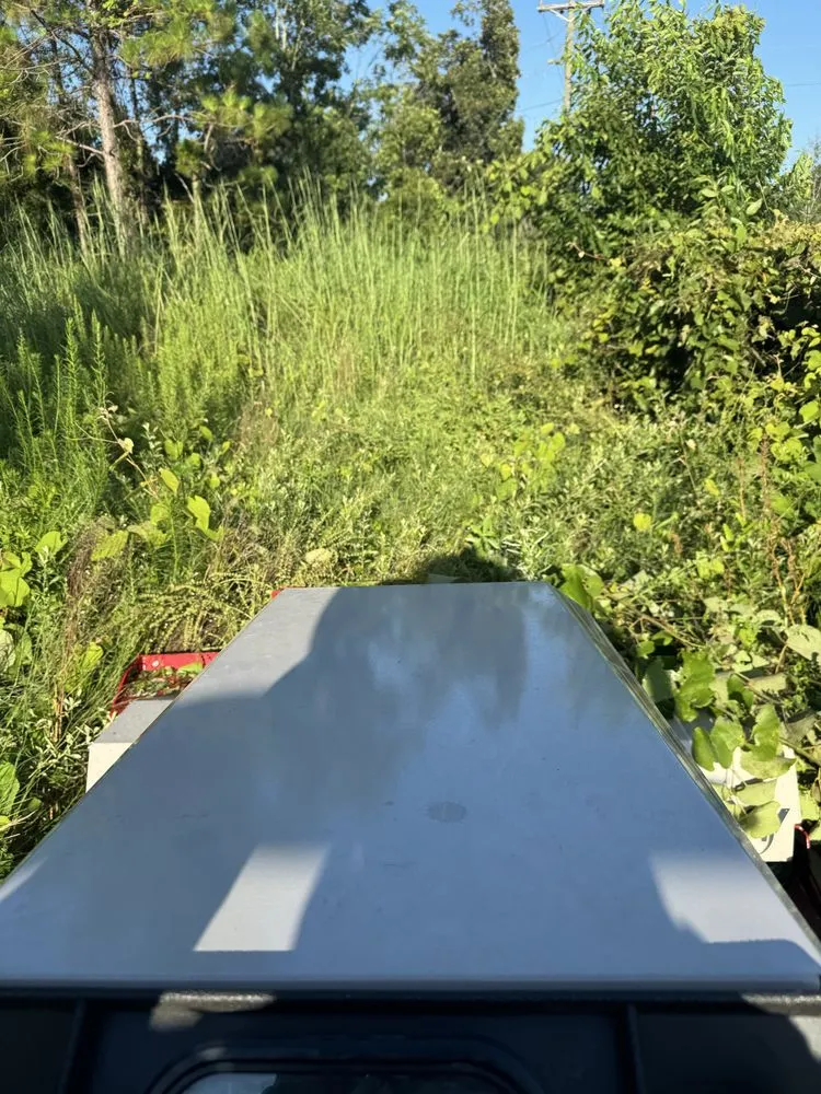 Local yard cleanup service in Live Oak, FL - Chaunceys Services