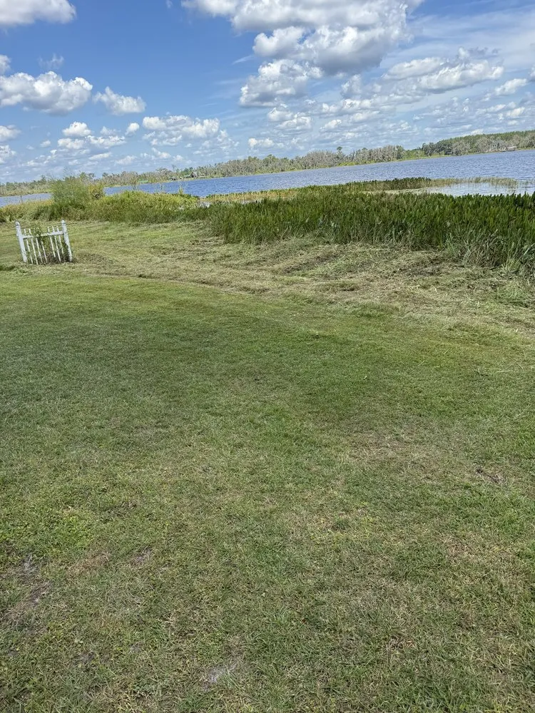 Top-rated landscaping services for homes across Live Oak, FL - Chaunceys Services