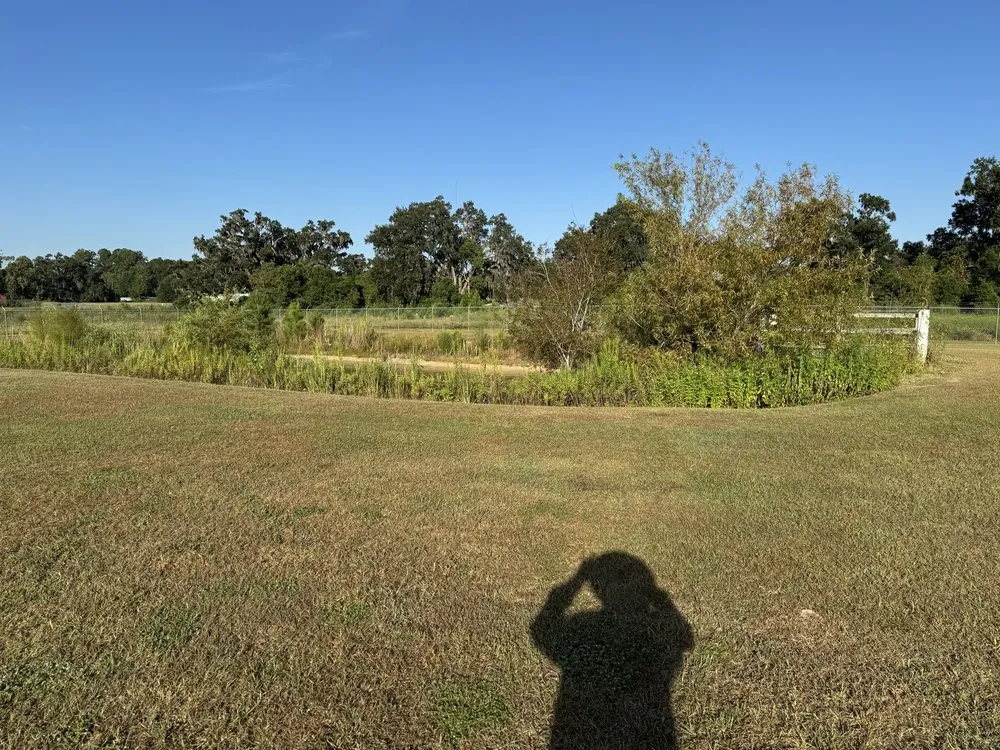 Affordable outdoor landscaping near you across Live Oak, FL - Chaunceys Services