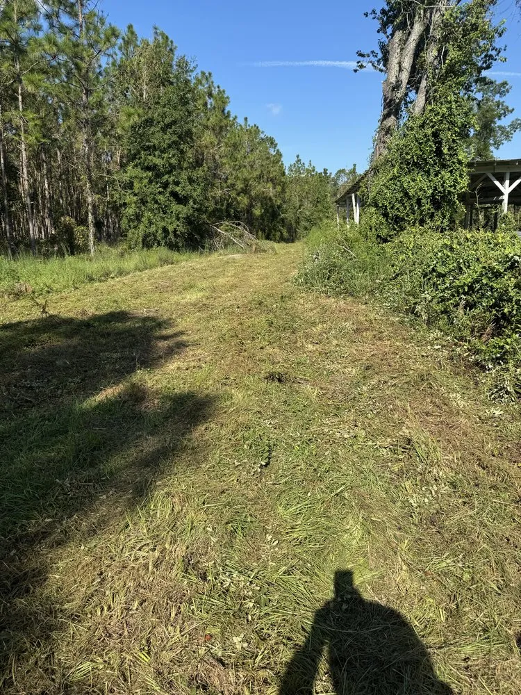 Reliable landscape design for outdoor upgrades in Live Oak, FL by Chaunceys Services