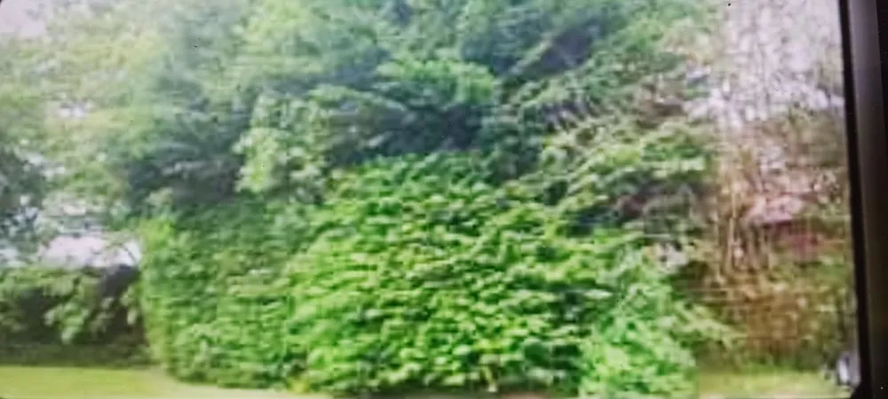 Professional landscape design in Milton, VT by Chauntels Custom Landscaping