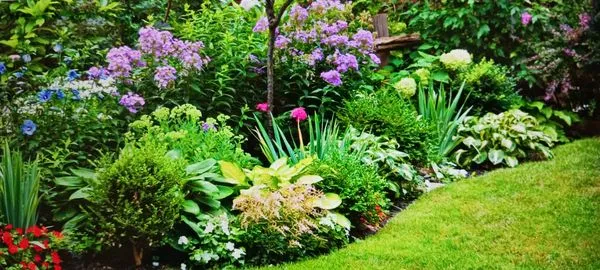 Chauntels Custom Landscaping