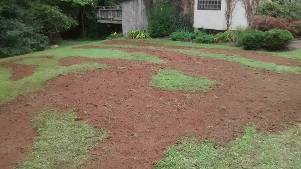 Reliable outdoor landscaping near you in Portland, NY by Chautauqua Stump Thumper