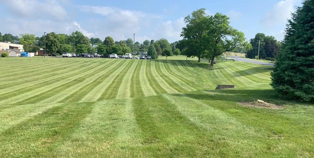 Affordable outdoor landscaping for outdoor upgrades in Lewisberry, PA by Chavas Landscaping