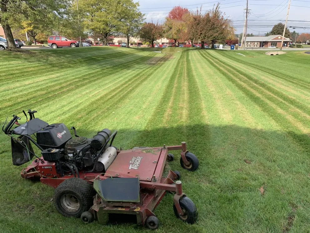 Expert yard cleanup service in Lewisberry, PA - Chavas Landscaping