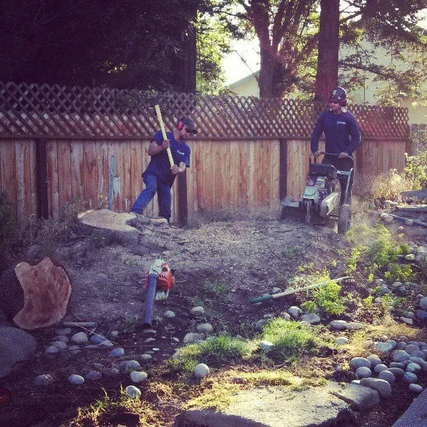 Top-rated landscape installation for year-round maintenance across Meridian, ID - Chavco Tree & Landscape Services