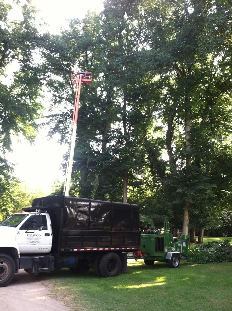 Reliable landscaping services experts serving Meridian, ID - Chavco Tree & Landscape Services
