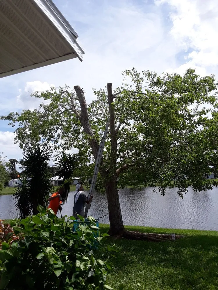 Professional landscape design in Fort Pierce, FL - Chaves Environmental Management