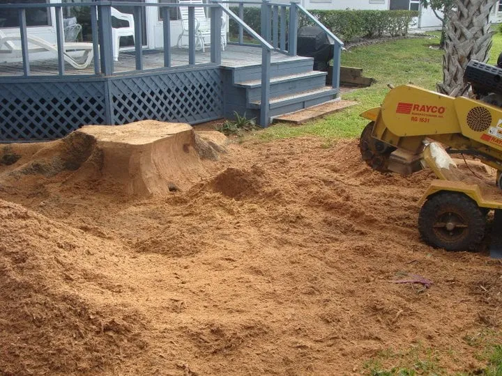 Professional lawn care service with custom design in Fort Pierce, FL by Chaves Environmental Management