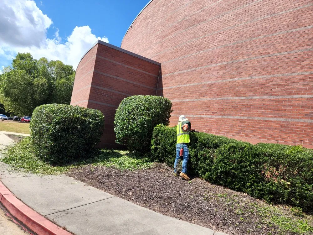 Custom yard cleanup service in Marietta, GA - Chaves Greenscape