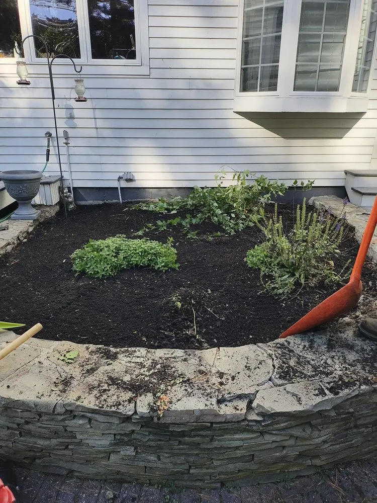 Trusted yard cleanup service for residential properties across Taunton, MA - Chaves Lawn