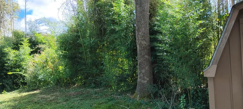 Trusted yard maintenance experts serving Westmoreland, TN - Chaves Soul Landscaping