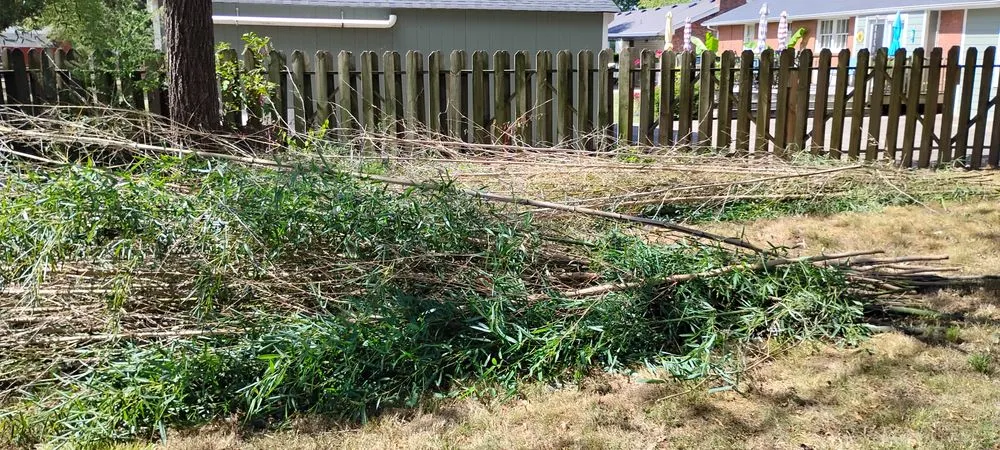 Trusted landscape design experts serving Westmoreland, TN - Chaves Soul Landscaping