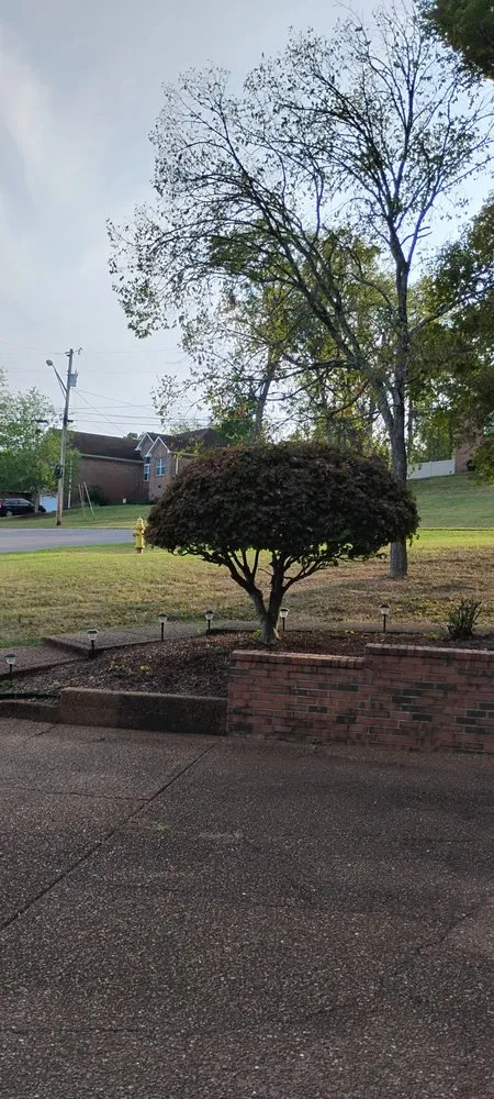 Affordable landscaping services in Westmoreland, TN by Chaves Soul Landscaping