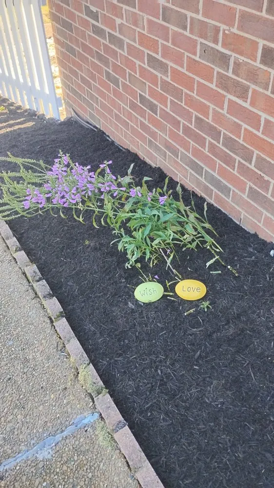 Top-rated lawn mowing service in Westmoreland, TN by Chaves Soul Landscaping