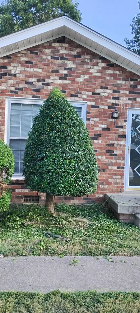 Trusted yard cleanup service for outdoor upgrades in Westmoreland, TN by Chaves Soul Landscaping