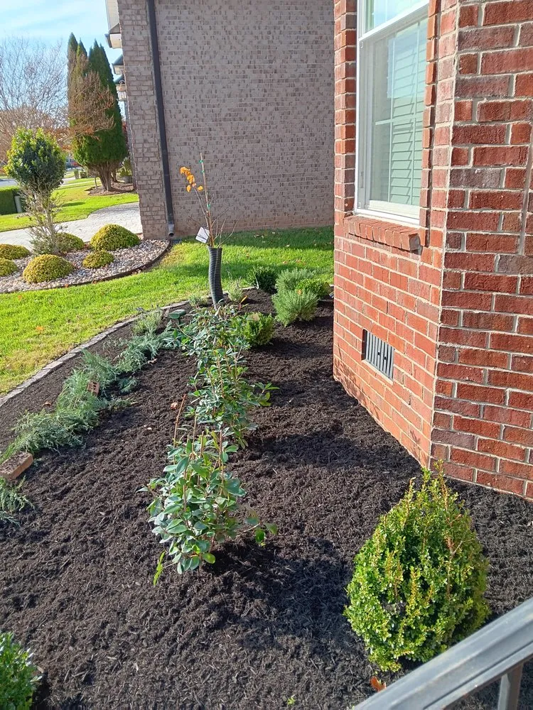 Top-rated residential landscaping in Westmoreland, TN - Chaves Soul Landscaping