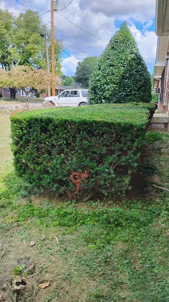 Custom yard maintenance near you in Westmoreland, TN by Chaves Soul Landscaping