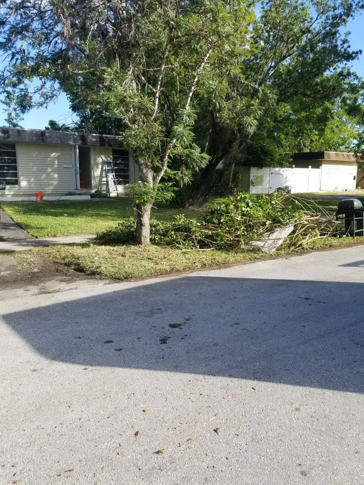 Affordable yard cleanup service experts serving Fort Lauderdale, FL - Chavez Complete Lawn Services