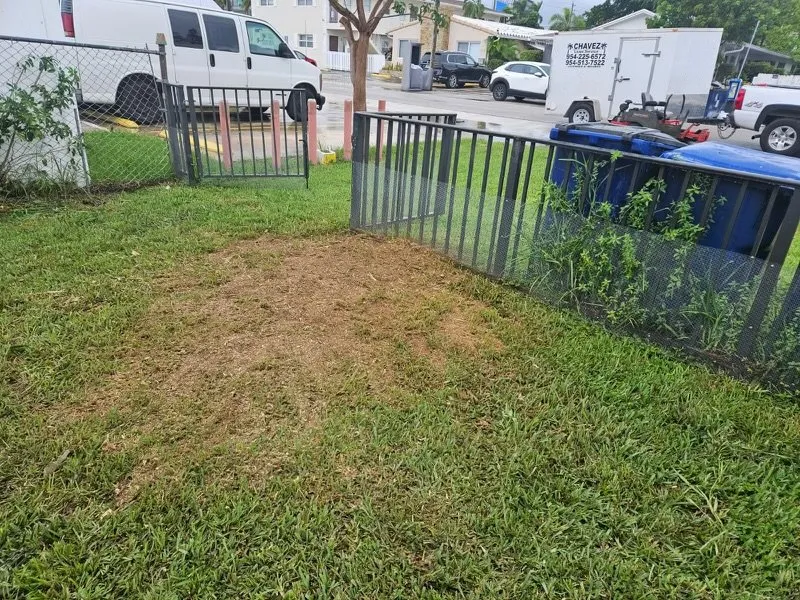 Reliable lawn care service in Fort Lauderdale, FL by Chavez Complete Lawn Services