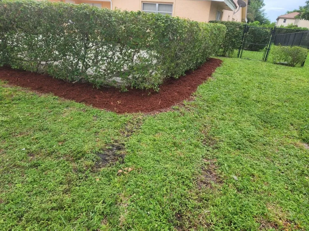 Expert yard maintenance in Fort Lauderdale, FL - Chavez Complete Lawn Services
