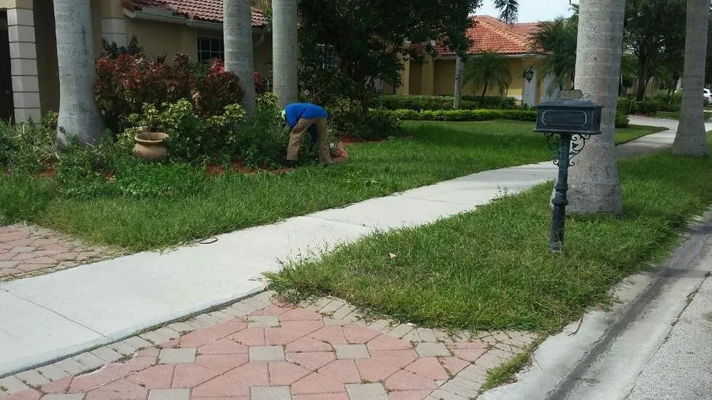 Professional lawn care service in Fort Lauderdale, FL - Chavez Complete Lawn Services