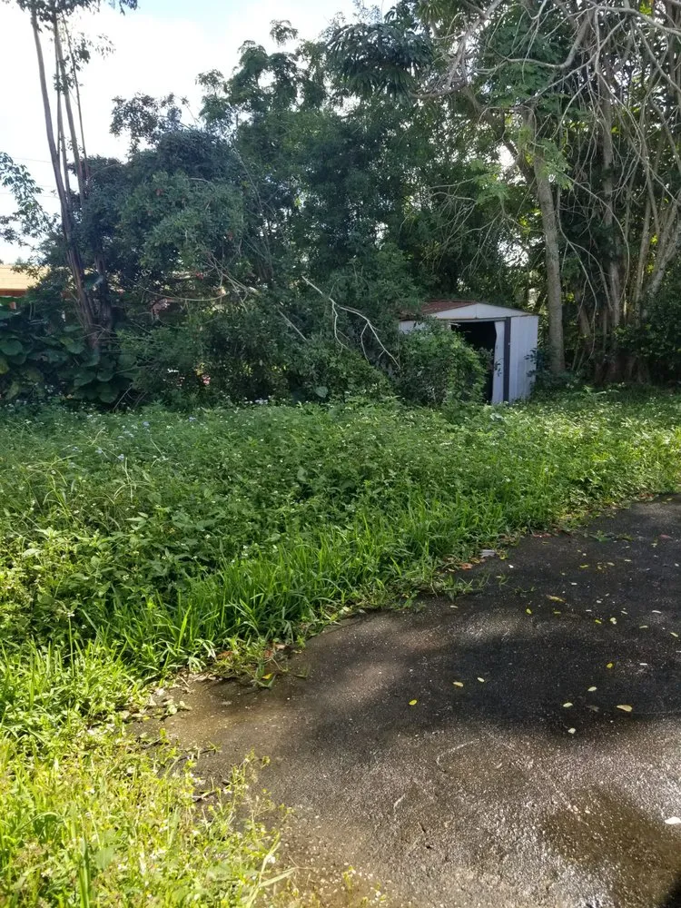 Top-rated yard cleanup service for year-round maintenance across Fort Lauderdale, FL - Chavez Complete Lawn Services