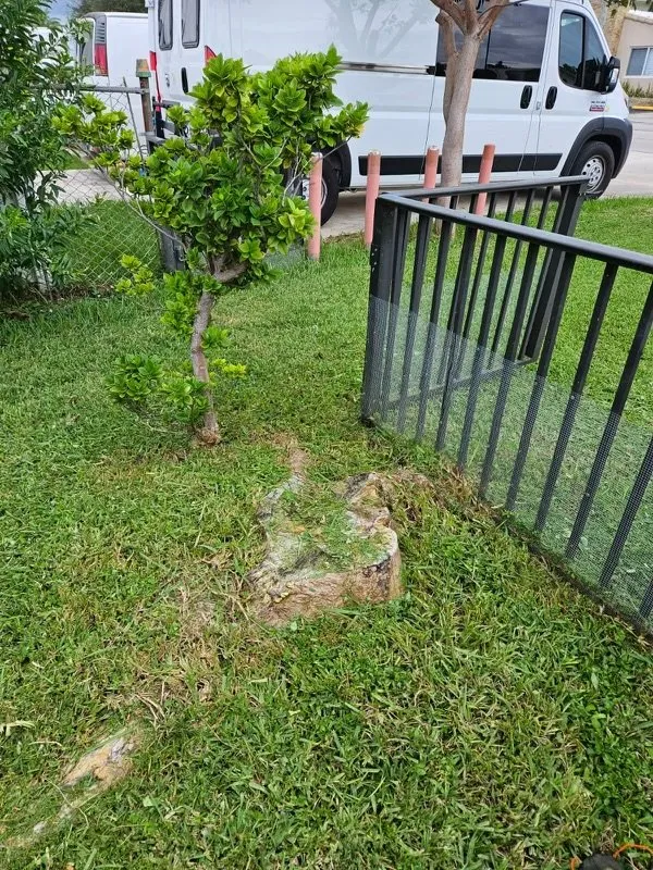 Local landscape design in Fort Lauderdale, FL - Chavez Complete Lawn Services