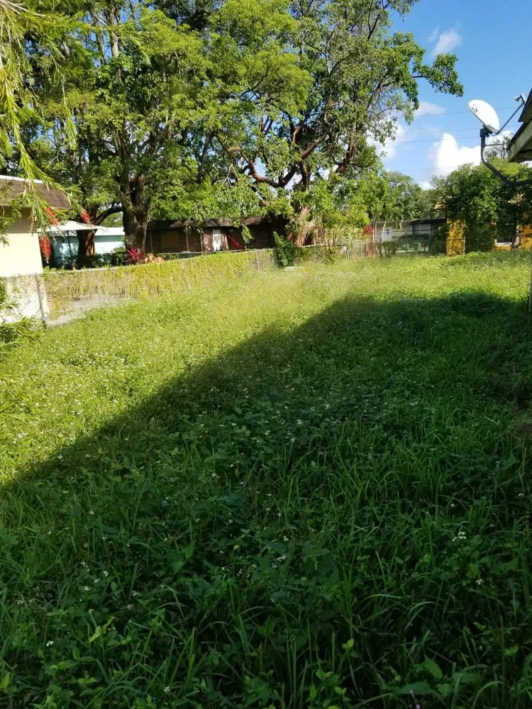 Professional yard cleanup service in Fort Lauderdale, FL - Chavez Complete Lawn Services