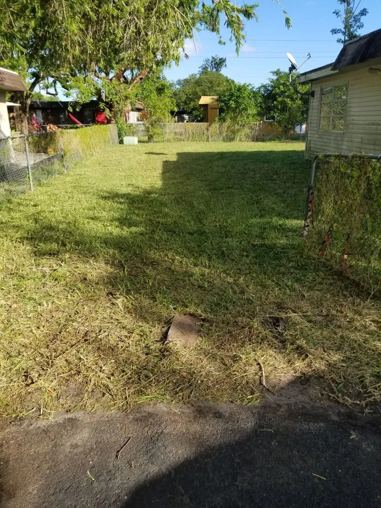 Top-rated yard maintenance in Fort Lauderdale, FL by Chavez Complete Lawn Services