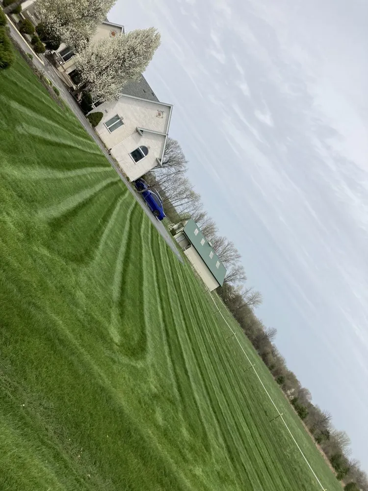 Top-rated yard maintenance experts serving Chicago, IL - chavez construction