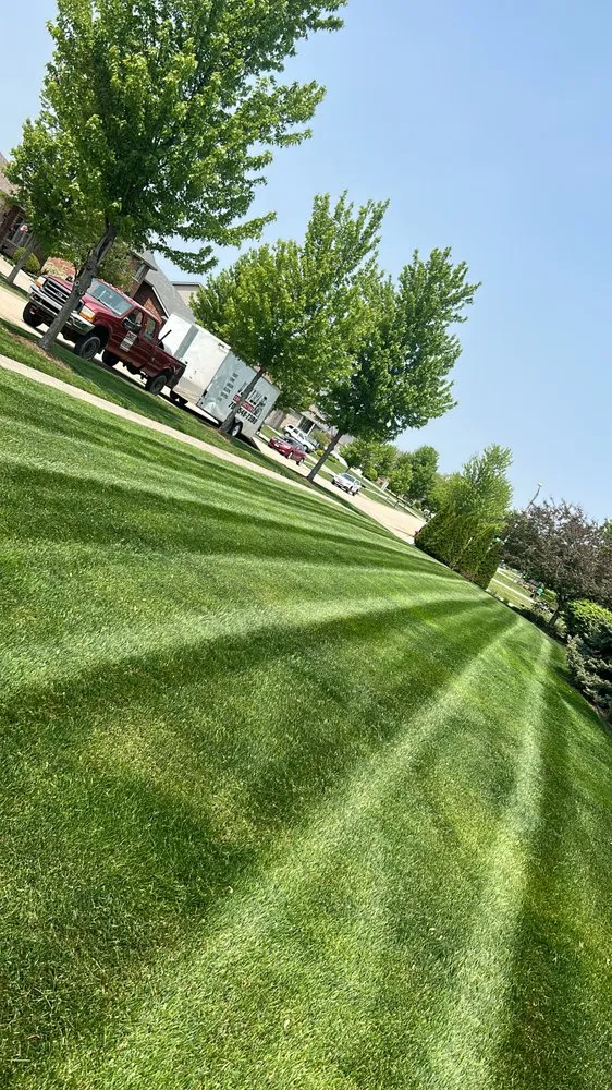 Professional lawn care service for outdoor upgrades across Chicago, IL - chavez construction