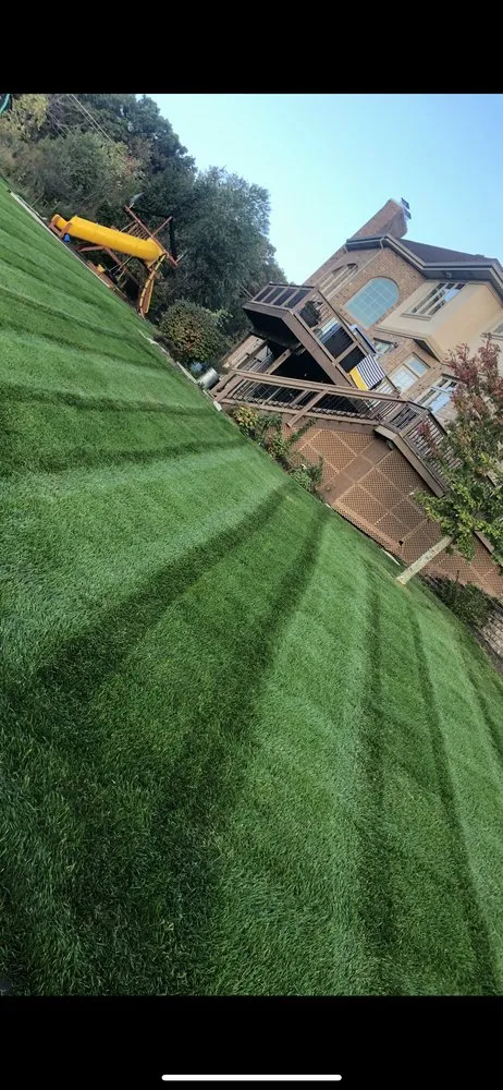 Professional yard maintenance experts serving Chicago, IL - chavez construction