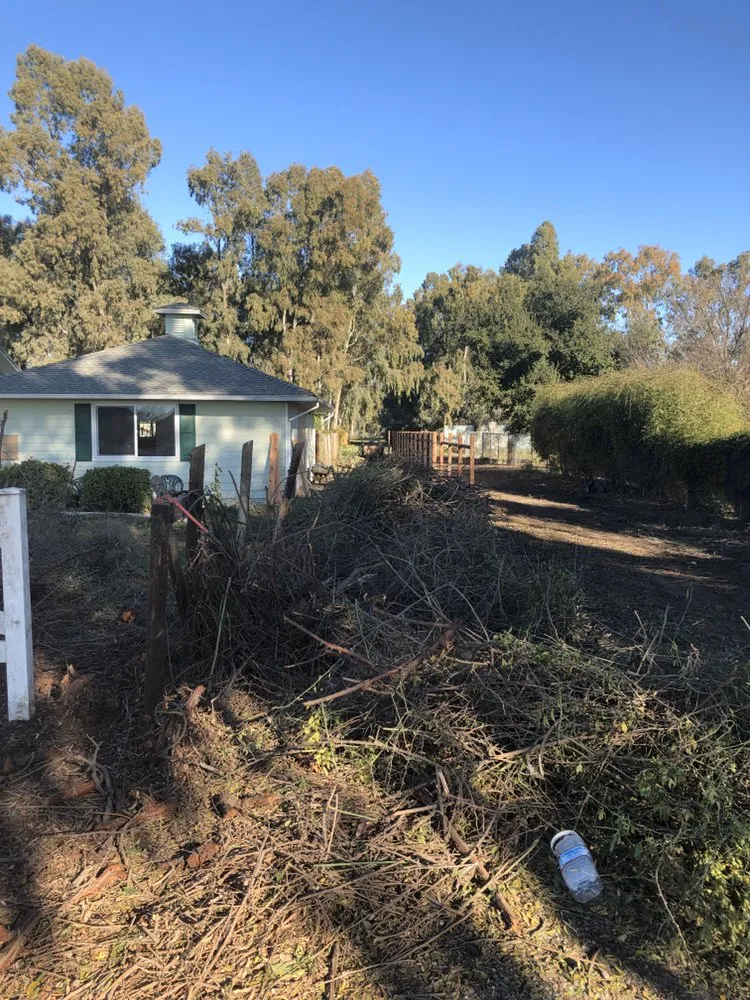 Local yard maintenance for residential properties across Woodland, CA - Chavez Hardscaping & Landscaping