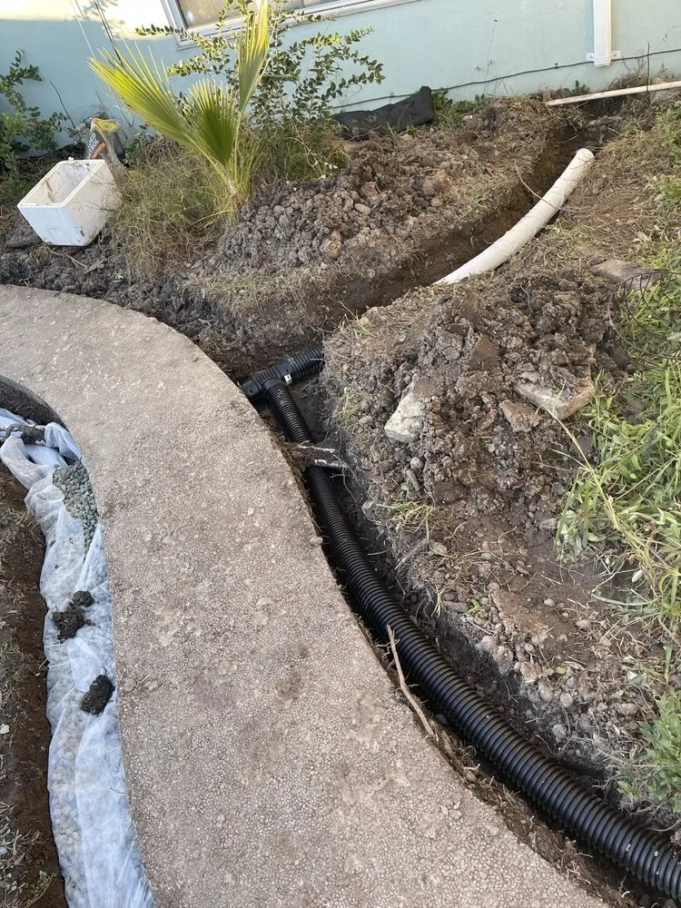 Top-rated yard cleanup service for beautiful yards in Woodland, CA by Chavez Hardscaping & Landscaping