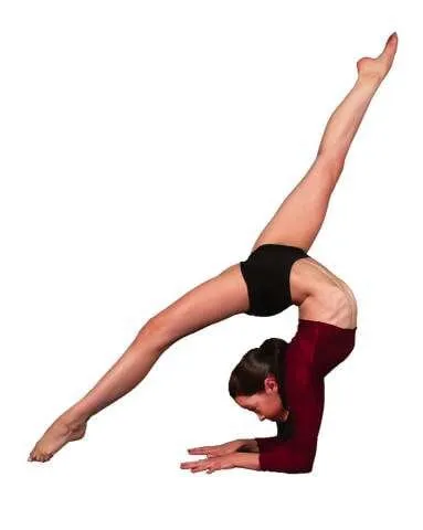 Trusted yard cleanup service in Woodland, CA by Chavez Hardscaping & Landscaping