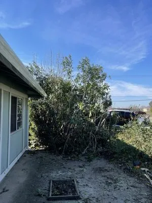 Chavez Hardscaping & Landscaping Logo