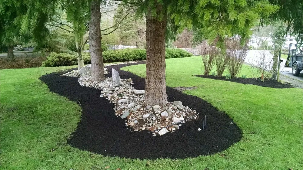 Local yard maintenance in Mount Vernon, WA - Chavez Landscape