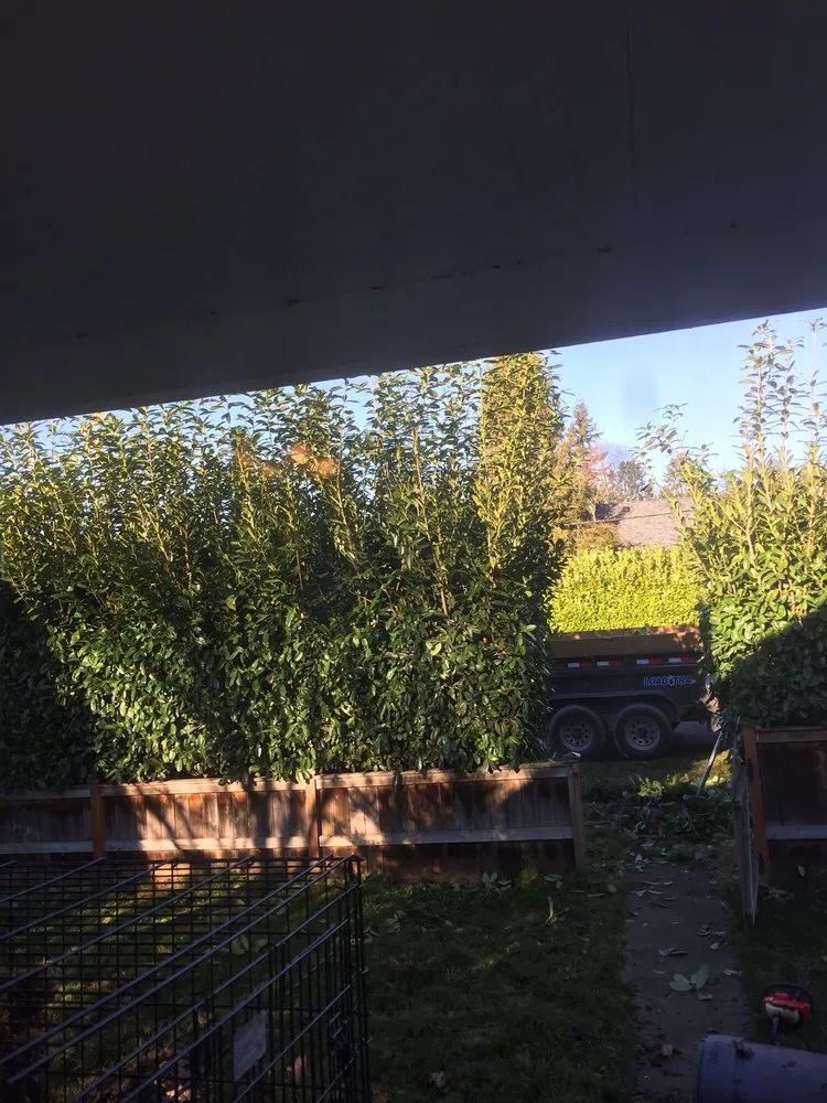 Professional lawn care service for year-round maintenance across Mount Vernon, WA - Chavez Landscape